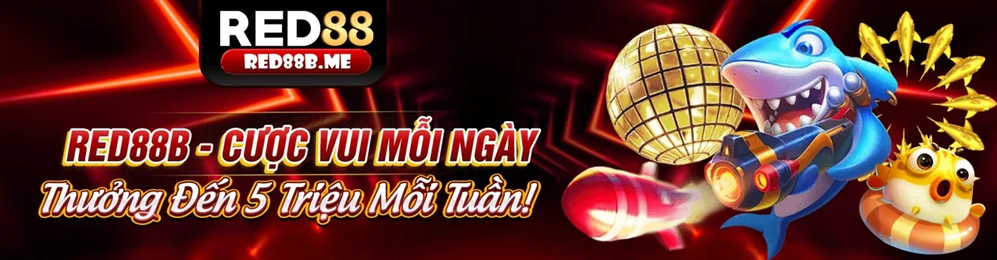 Đăng nhập và bắt đầu trải nghiệm game